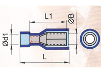 Fully Insulated Female Bullet Sockets